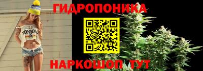 прущая мука Абакан