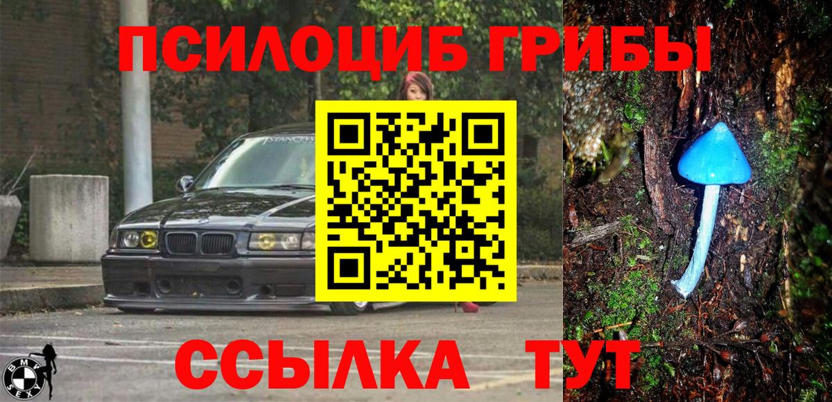 Анжеро-Судженск  Галлюциногенные грибы MAGIC MUSHROOMS  Вход с VPN 